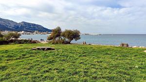 MARSEILLE - Plages Vieille-Chapelle-Prado - 3 avril 2025 - 12